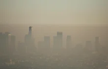 Oddychanie zanieczyszczonym powietrzem osłabia układ odpornościowy