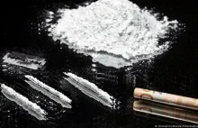 Belgia konfiskuje tak dużo kokainy, że spalarnie nie nadążają z jej niszczeniem