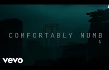 Roger Waters - Comfortably Numb 2022
