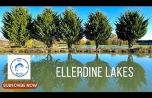 Ellerdine Lakes Trout Fisheries - Wędkarstwo muchowe w UK.