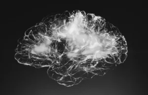Niezwykłe odkrycie dotyczące pracy mózgu. Neurony robią wielogodzinne przerwy.