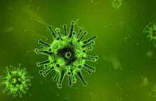 Naukowcy rozmnożyli wirusy z wiecznej zmarzliny mające ponad 48000 lat.