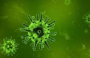 Naukowcy rozmnożyli wirusy z wiecznej zmarzliny mające ponad 48000 lat.