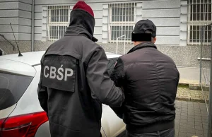 Polsko-ukraińska grupa przestępcza wyłudzająca VAT rozbita przez CBŚP