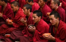 Dlaczego mnisi żyją w celibacie?