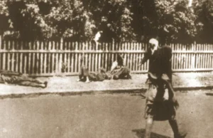 90. rocznica Hołodomoru – jednej z największych zbrodni ludobójstwa