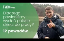 Dlaczego polskie dzieci powinny pracować, 12 powodów. | Krótko o ekonomii
