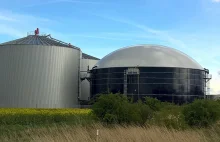 Nowa biogazownia w Poznaniu może zastąpić 800 ton węgla rocznie!