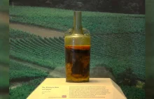 Najstarsza butelka z winem, które wciąż można pić