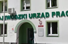 Dyrektor urzędu pracy zwolniony przez grzechy firmy jego żony