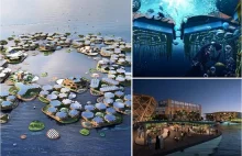 Oceanix. Koreańczycy chcą zbudować pierwsze pływające miasto