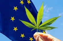 Legalizacja marihuany w Europie - na jakim etapie jesteśmy?