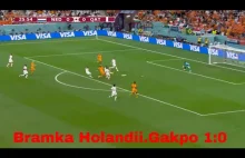 Holandia - Katar | Bramka Codiego Gakpo! 1:0