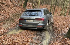 Osobowym audi utknął w lesie. Celem był punkt widokowy?