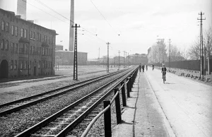 Historycznym śladem wąskotorówki "Balkan Express"poprowadzono drogę rowerową