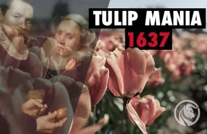 Tulipany w cenie złota i bańka spekulacyjna. Czym była tulipomania?