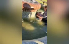 Kobieta dosiada w parterze faceta w fontannie