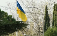 Zakrwawione przesyłki do ukraińskich ambasad. W środku oczy zwierząt