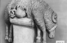 Rzymska rzeźba zabitego barana na ołtarzu