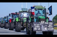 Wojna przeciwko ludzkości: Holenderski rząd chce zlikwidować 3000 farm