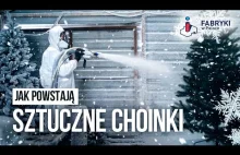 DUŻA Fabryka choinek w Polsce