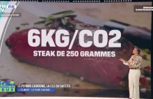 Francuska telewizja i pozwolenie na emisję CO2 dla ludzi Limit 2 tony w roku