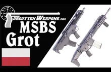 MSBS Grot: The Complete History of Poland's New Army Rifle