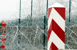 Straż Graniczna: "Przedostało się do Polski łącznie 32 cudzoziemców"
