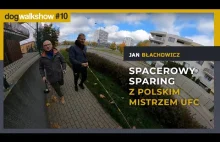 Spacerowy sparing z Janem Błachowiczem! | DOG WALK SHOW