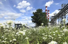 Energa zakończyła konsultacje społeczne w sprawie Ostrołęki