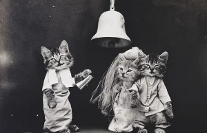 Urocze, stare zdjęcia zwierząt przebranych za ludzi, lata 1910.