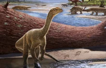 Los dinozaurów był przesądzony na długo przed planetoidą.