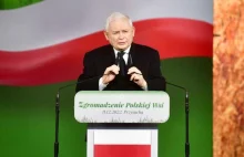 Propozycje PiS dla wsi: Chów na własne potrzeby, dopłaty dla poszkodowanych pr..