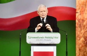 Propozycje PiS dla wsi: Chów na własne potrzeby, dopłaty dla poszkodowanych pr..