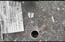 Ukr dron wrzuca granat do komina