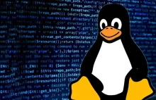 Linux 6.1 – Rust w końcu oficjalnie w kernelu