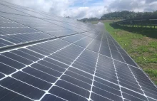 PGE kupiła 28 projektów fotowoltaicznych o łącznej mocy 59 MW