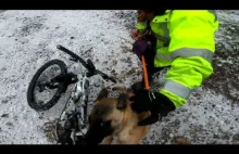Zaatakowany przez psy podczas jazdy na rowerze (UK)