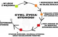 Stonoga znowu organizuje konkurs. Kolejny wałek?