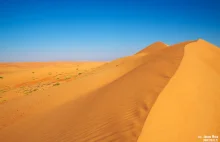 Jak wyglądała dawniej Sahara? To była kraina tętniąca życiem