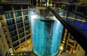 Akwarium AquaDom w Berlinie eksplodowało