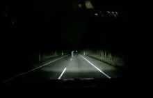 Nocą na drodze można spotkać różne łosie.
