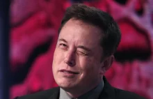 Obrażony Elon Musk wyłączył Twitter Spaces