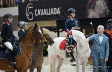CAVALIADA Poznań – 23 konkursy, pięć konkurencji, aukcja koni sportowych...