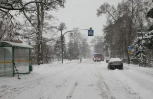 Bus potrącił 14-latkę i odjechał. Policja zatrzymała 48-letniego mężczyznę