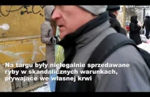 Weganie POD TARGIEM we Wrocławiu protestują przeciwko sprzedaży karpi!