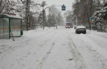 Lubelskie. Potrącił 14-latkę i uciekł z miejsca wypadku. Mundurowi...