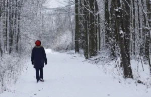 Spacery w śnieżnym krajobrazie zwiększają zadowolenie z własnego ciała
