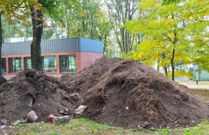 Poznań. Parafia zrobiła restaurację na dawnym cmentarzu. Sprawa w prokuraturze