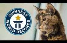 Najstarszy kot na świecie [EN]